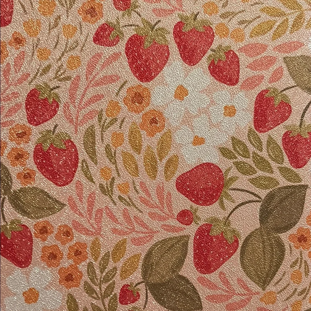 BRAND NEW kindle case!